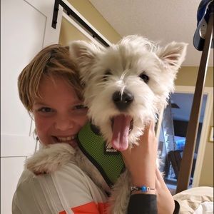 Meet your Posher, Avery